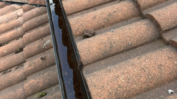 Blocked gutter found during property maintenance work