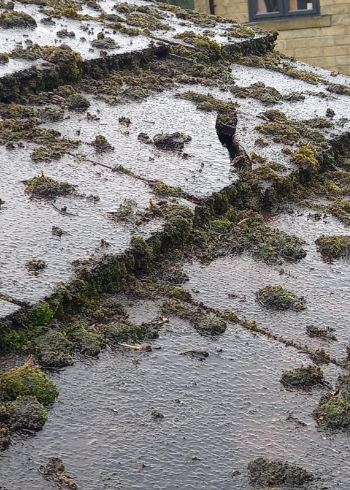 Roof inspection identifying moss and weathering on a tiled roof
